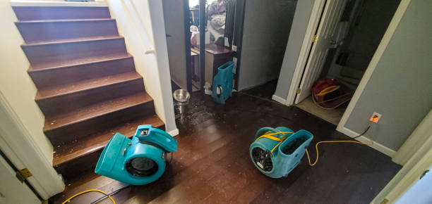 Best Water damage contractors near me  in Wellsboro, PA
