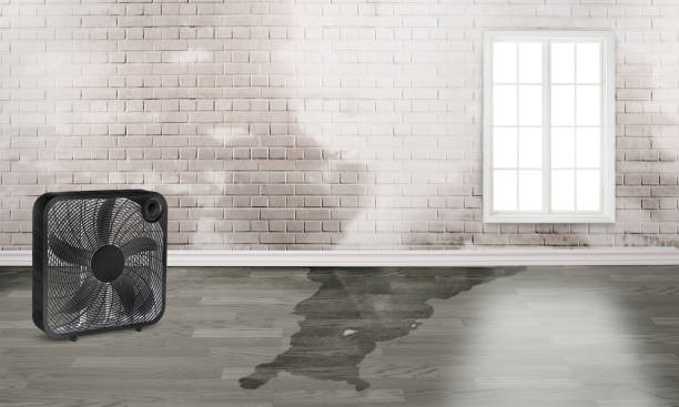 Best Carpet water damage restoration  in Wellsboro, PA