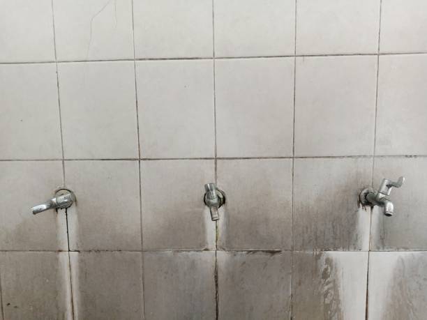 Best Sewage cleanup and water damage restoration  in Wellsboro, PA