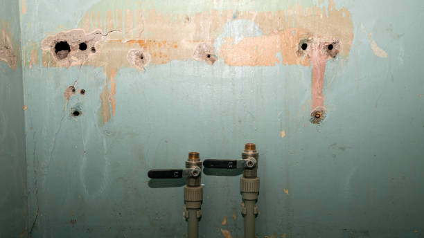 Best Mold removal after water damage  in Wellsboro, PA