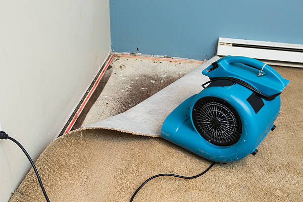 Best Emergency water damage restoration  in Wellsboro, PA